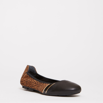Shop Hogan Black Spotted Suede Leather Ballerina In Brown