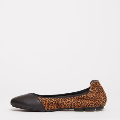 Shop Hogan Black Spotted Suede Leather Ballerina In Brown