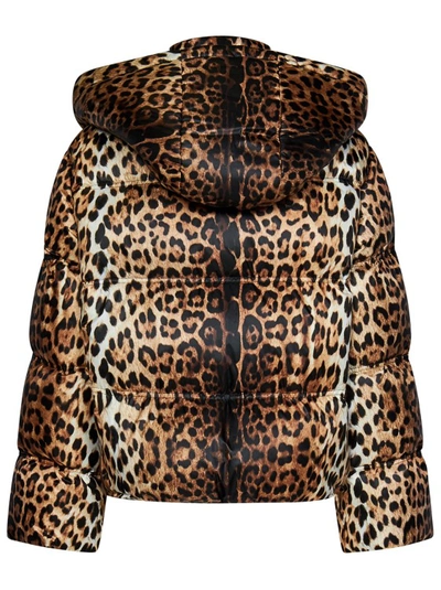 Shop Roberto Cavalli Leopard Print Padded Jacket In Brown