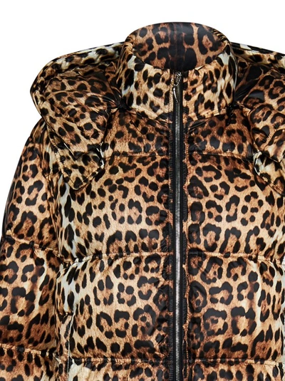 Shop Roberto Cavalli Leopard Print Padded Jacket In Brown