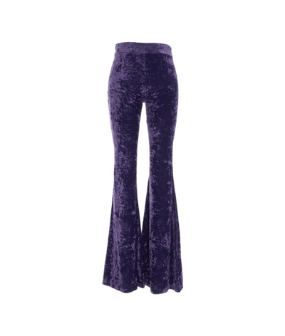 Shop Aniye By Bootcut Pants With Sequins In Purple