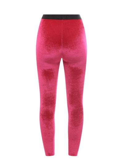 Shop Tom Ford Chenille Leggings In Pink