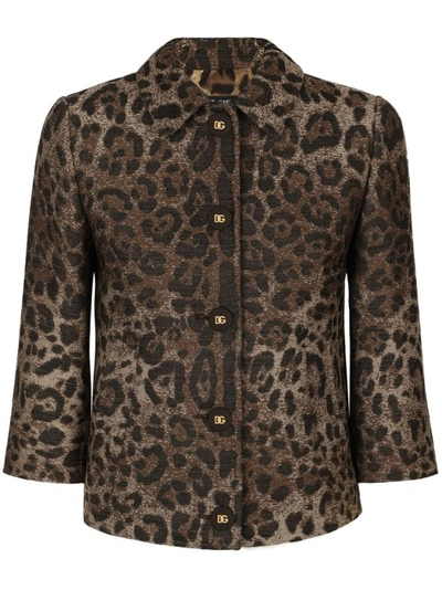 Shop Dolce & Gabbana Brown Animal Print Jacket
