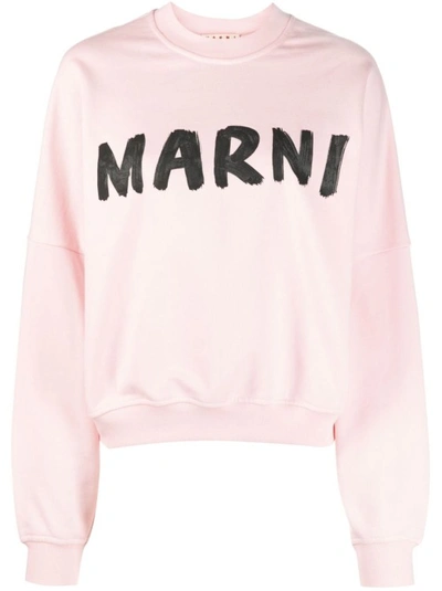Shop Marni Pink Cotton Sweater