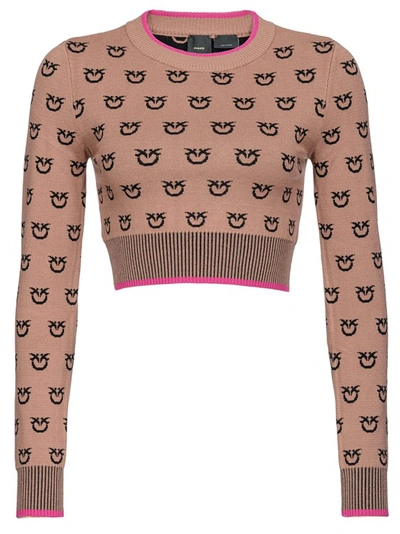 Shop Pinko Furetto Crop Fit Sweater In Brown