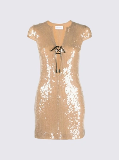 Shop 16arlington Seer Mini Dress In Brown