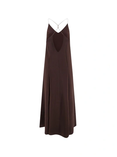 The Nina Studio Athena In Brown