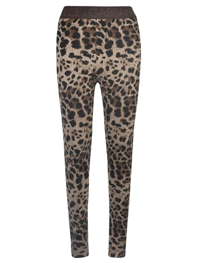 Shop Dolce & Gabbana Logo-waistband Leopard-print Leggings In Brown