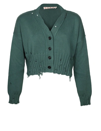 Shop Marni Cropped Cardigan In Green Cotton