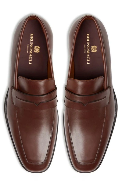 Bruno Magli Men's Raging Leather Penny Loafers In Cognac