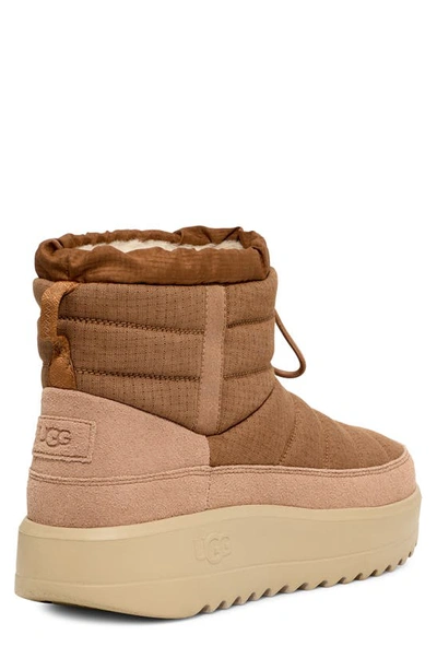 Ugg Maxxer Boots In Chestnut