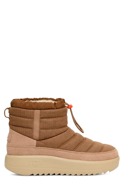 Ugg Maxxer Boots In Chestnut