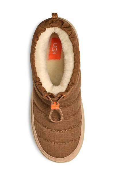 Ugg Maxxer Boots In Chestnut