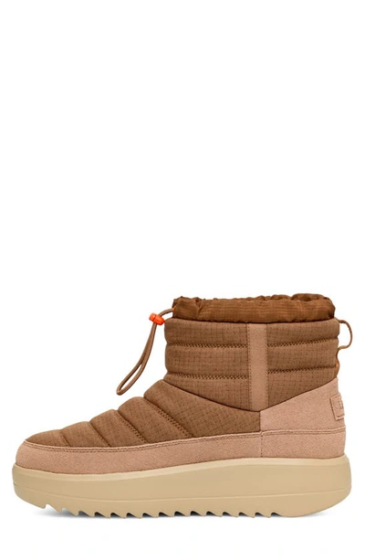 Ugg Maxxer Boots In Chestnut