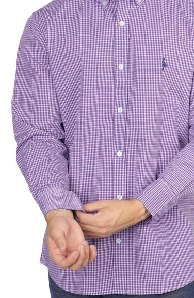 Shop Tailorbyrd On The Fly Regular Fit Purple Gingham Performance Stretch Button-down Shirt