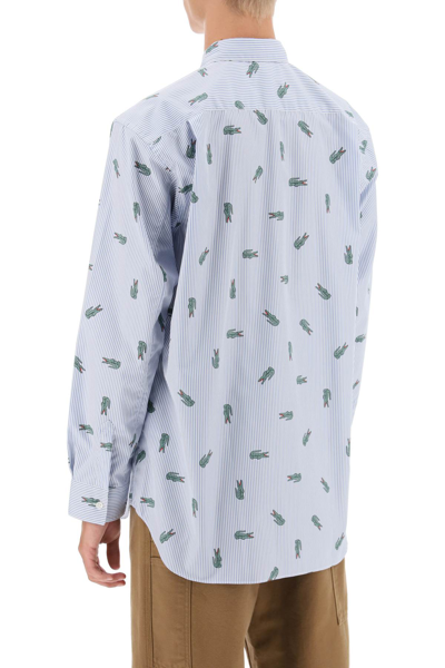 Shop Comme Des Garçons Shirt X Lacoste Oxford Shirt With Crocodile Motif In Stripe (white)