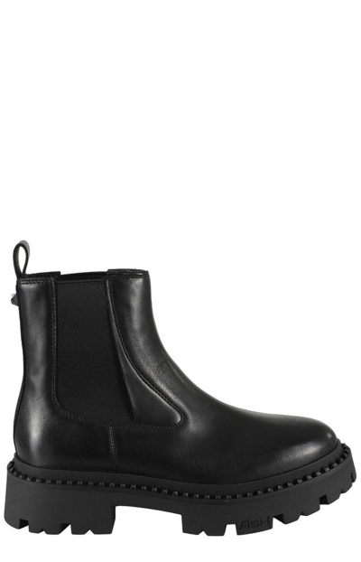 Shop Ash Genesis Round Toe Ankle Boots In Black