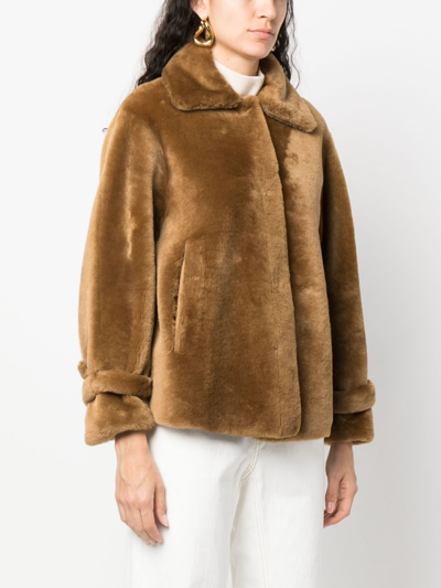 Shop Furling By Giani Shearling Short Coat In Brown