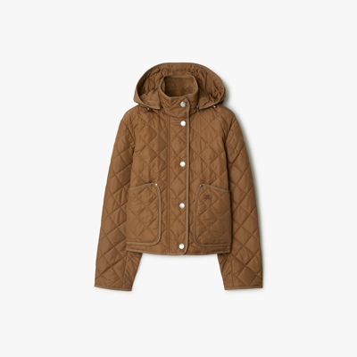 Shop Burberry Cropped Quilted Nylon Jacket In Dusty Caramel