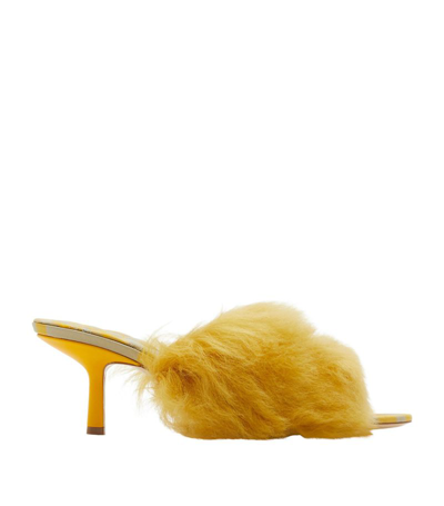 Shop Burberry Shearling Minnie Mules 65 In Yellow