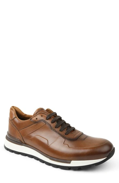 Shop Bruno Magli Davio Sneaker In Cognac Leather