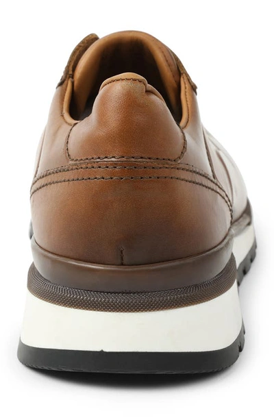 Shop Bruno Magli Davio Sneaker In Cognac Leather