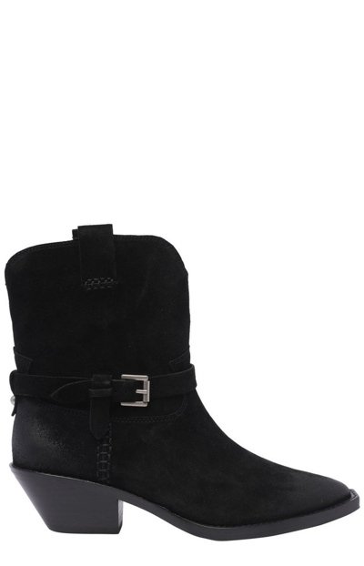 Shop Ash Dustin Pointed Toe Boots In Black