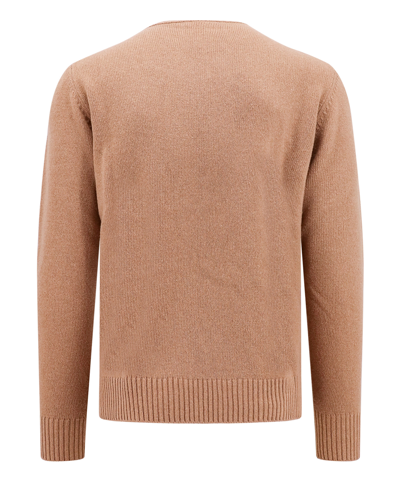 Shop Roberto Cavalli Sweater In Brown