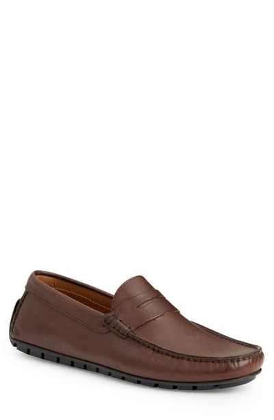 Shop Bruno Magli Xane Driving Penny Loafer In Brown Leather