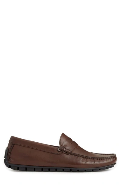 Bruno Magli Xane Driving Penny Loafer In Brown Leather