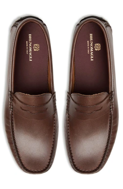 Bruno Magli Xane Driving Penny Loafer In Brown Leather