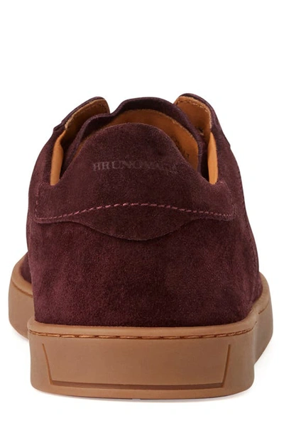 Shop Bruno Magli Bono Sneaker In Bordeaux Suede