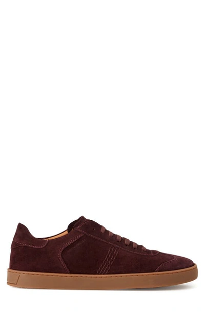 Bruno Magli Men's Bono Low-top Suede Sneakers In Bordeaux Suede
