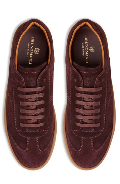 Shop Bruno Magli Bono Sneaker In Bordeaux Suede