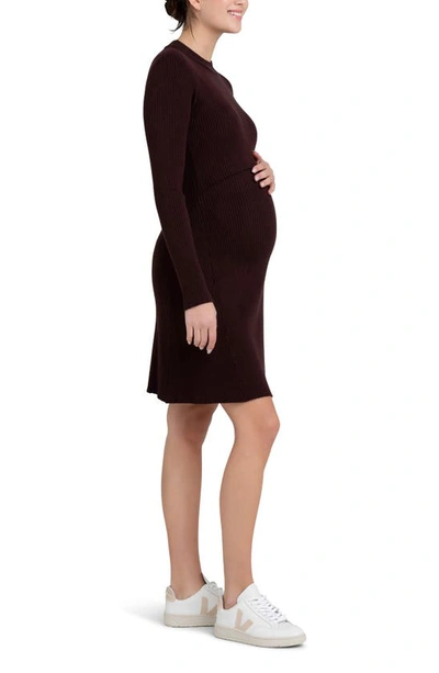 Shop Ripe Maternity Hailey Rib Long Sleeve Maternity/nursing Dress In Chocolate