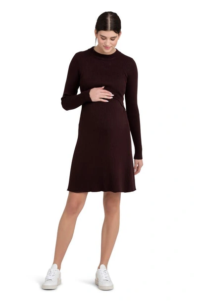 Shop Ripe Maternity Hailey Rib Long Sleeve Maternity/nursing Dress In Chocolate