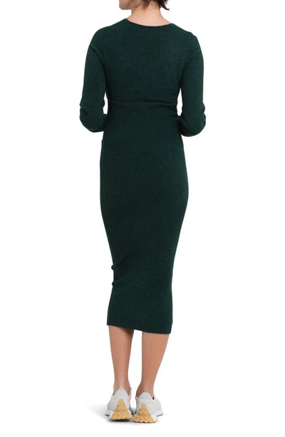 Shop Ripe Maternity Heidi Long Sleeve Maternity/nursing Dress In Forest