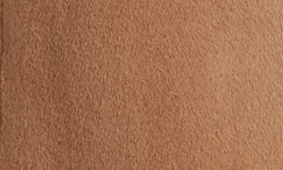 Sofia Cashmere Belted Alpaca & Wool Blend Coat In Camel
