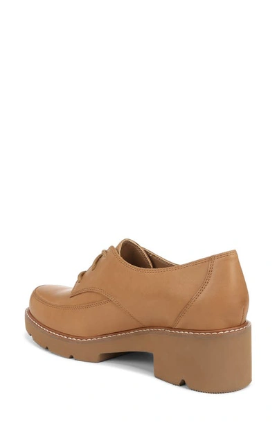 Shop Naturalizer Darry Lace-up Derby In Toffee Brown Leather