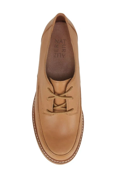 Shop Naturalizer Darry Lace-up Derby In Toffee Brown Leather