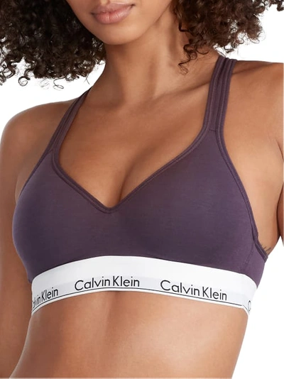 Shop Calvin Klein Modern Cotton Padded Bralette In Nightshade