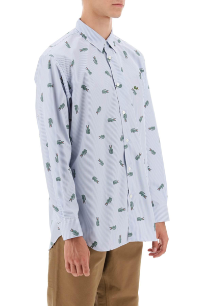 Shop Comme Des Garçons Shirt X Lacoste Oxford Shirt With Crocodile Motif In White,light Blue