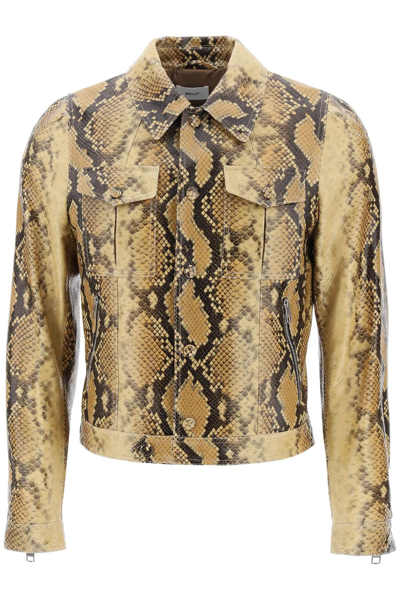 Shop Bally Python-print Leather Jacket In Rattan 50 (beige)