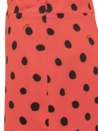 Shop Marni Polka Dot Skirt In Rosso