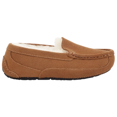Ugg Girls  Ascot In Chestnut Suede