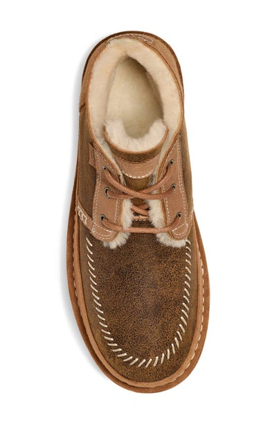 Ugg Neumal Crafted Regenerate Water Resistant Chukka Boot In Chestnut