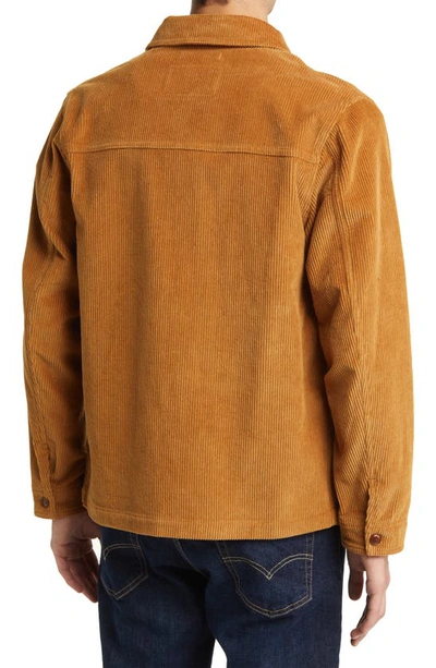 Shop Schott Corduroy Chore Jacket In Tobacco