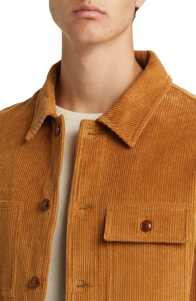 Shop Schott Corduroy Chore Jacket In Tobacco