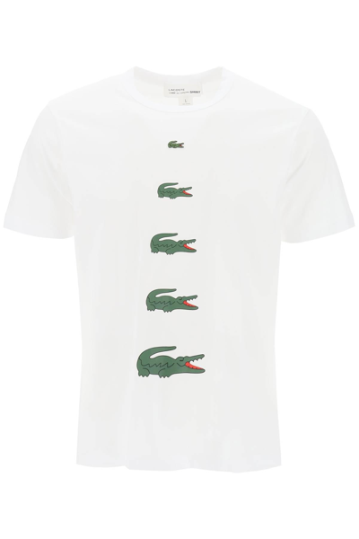 Shop Comme Des Garçons Shirt X Lacoste Crocodile Print T-shirt In White