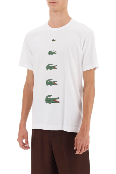 Shop Comme Des Garçons Shirt X Lacoste Crocodile Print T-shirt In White